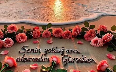 Yokluğuna Alışamadım